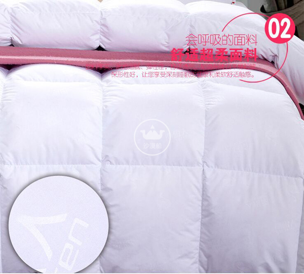 Desert Ship White down QUILT, winter quilt CORE, high-end five-star HOTEL bed linen, 90-day standard, thickened, warm, high down content, light and warm HOTEL QUILT CORE pic 2