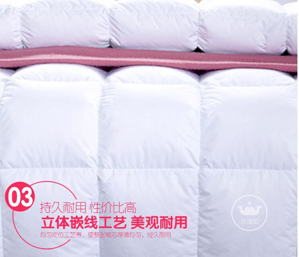 Desert Ship White down QUILT, winter quilt CORE, high-end five-star HOTEL bed linen, 90-day standard, thickened, warm, high down content, light and warm HOTEL QUILT CORE pic 3
