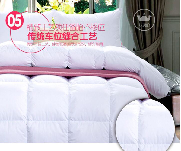 Desert Ship White down QUILT, winter quilt CORE, high-end five-star HOTEL bed linen, 90-day standard, thickened, warm, high down content, light and warm HOTEL QUILT CORE pic 5
